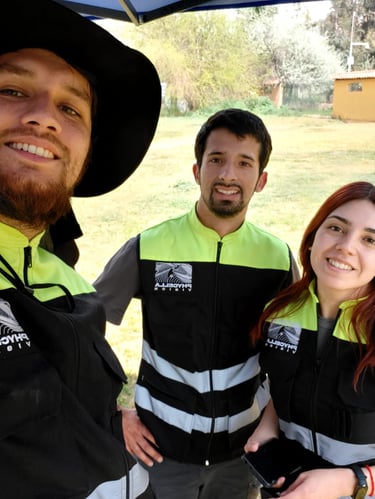 Equipo Phycella