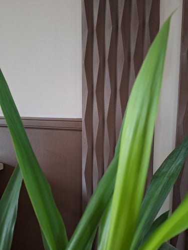Détail d'un projet de rénovation avec un matériau en relief brun et une plante verte