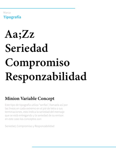 Brand Book criado por Agencia Humaniza