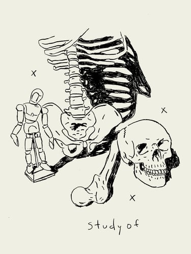rough digital art of human anatomy x's and the phrase "study of"