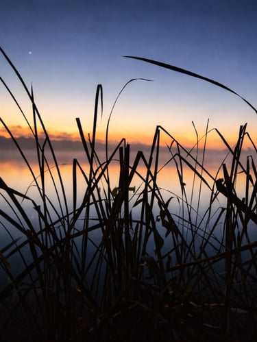 stocks infront of a river with a sunset in the background as sunrise