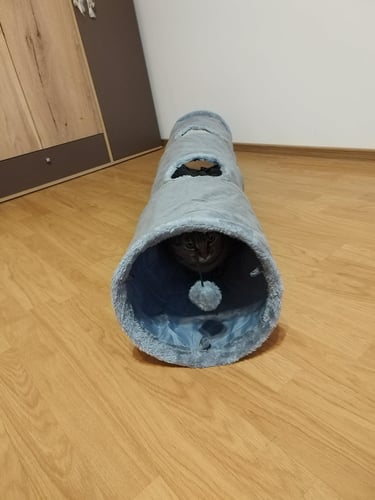 Plush indoor cat play tunnel with crinkle material and hanging ball toy, safe steel frame