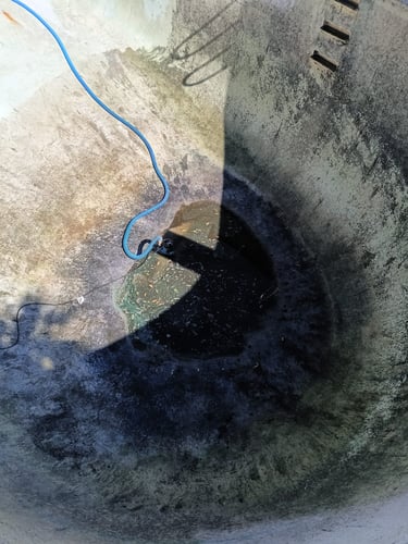 Deep End Stains & Debris