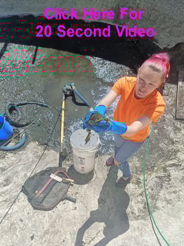 CLICK FOR SHORT VIDEO!