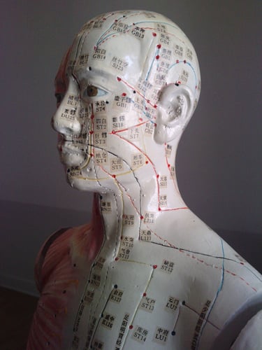 Marc DENOZI méridiens d'acupuncture