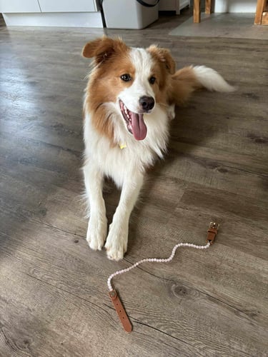 Heulsteinkette für Hunde Rosenquarz