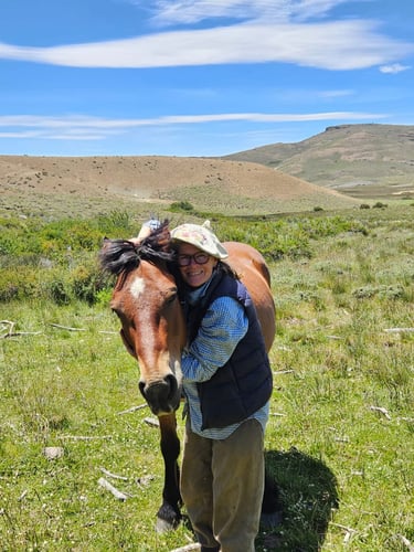 A person hugging a horse in a grassy field with hills in the background.