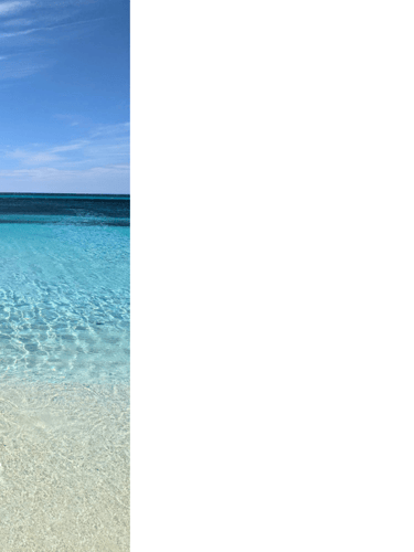 bahia de los aguilas barahona