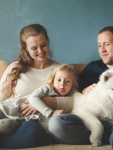 Samoyed puppies for sale in Des Moines, Iowa