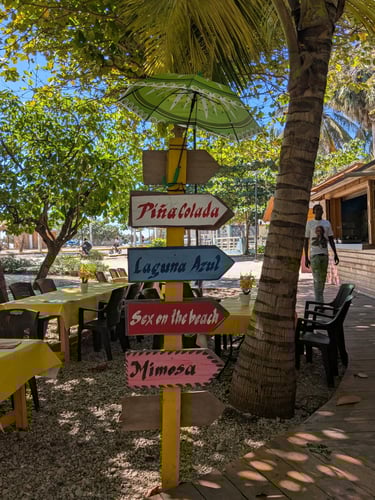 pina colada rhum cocktail republique dominicaine caraibes