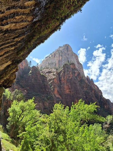 The Weeping rock in Zion National Park