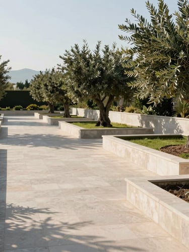 Wide-angle architectural garden in Kifisia under bright Mediterranean morning sun, structured stone paths, healthy olive trees, clean lines, negative space on the left.