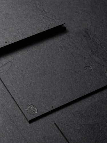 Flat-lay orthographic projection of embossed heavy paper stocks and matte black packaging mockups, sharp defined shadows, direct studio light.