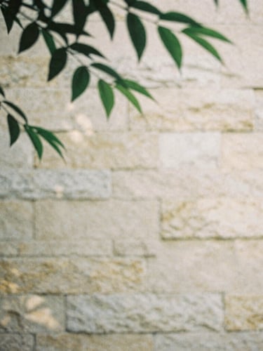 Soft light filtering through green leaves, casting gentle shadows on a warm stone wall, minimalist film photography, desaturated tones