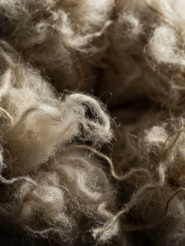 Extreme macro close-up of raw cotton fibers, high-contrast side-lighting emphasizing texture and depth, rich organic neutral tones.