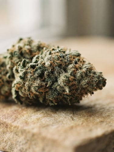 A close-up of raw, trichome-rich flower resting on a warm natural stone slab under soft window light, shallow depth of field, 35mm