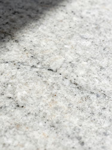 Extreme close-up of Snow White granite slab surface under strong raking side light, revealing low-variation white matrix with fine dark mineral veining, high tonal contrast, no people, no room context