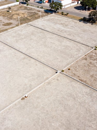 Aerial drone photography of clean geometric land plots in Veracruz, bright natural daylight, sharp focus, 35mm
