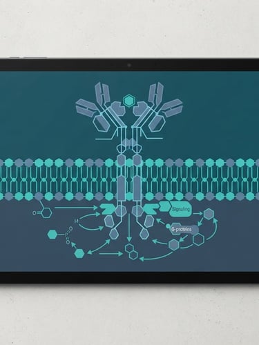 Top-down flat-lay of a digital design tablet displaying a clean vector diagram of a cell receptor, clinical teal and slate blue palette, high-contrast digital render, sharp geometric lines