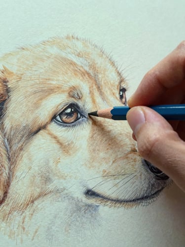 Macro shot of artist's hand holding a sharp colored pencil, drawing fine fur details around a dog's eye on heavy textured paper, warm studio light