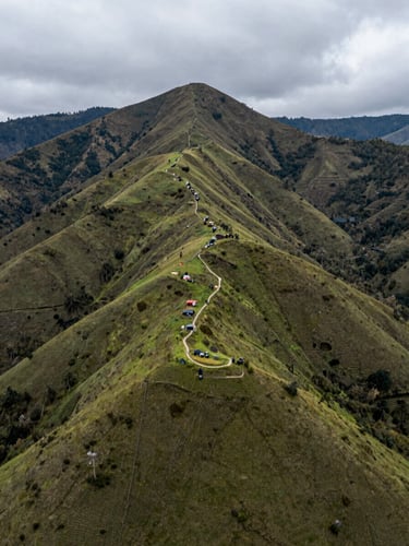 Vista aérea de un proyecto de reforestación activa en la cordillera andina colombiana, laderas verdes recuperadas bajo un cielo nublado y luz natural suave.