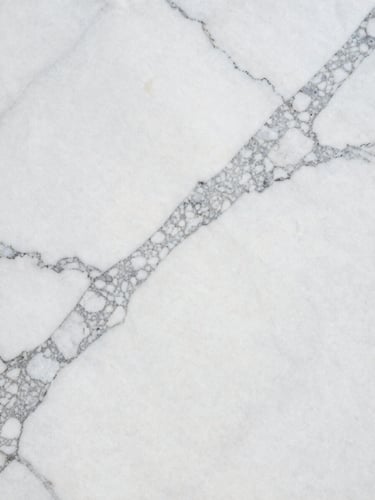 Extreme close-up of a full Carrara marble slab filling the frame from edge to edge, north-facing daylight revealing the sharp grey veining across a brilliant white ground, vein detail running diagonally to the right canvas edge, no staging, no objects, pure stone surface