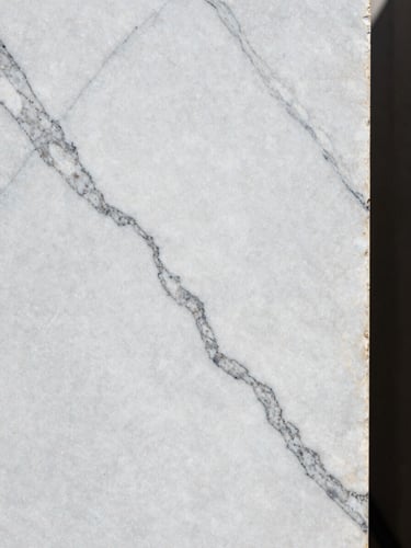Extreme close-up of a Carrara marble slab surface in north-facing daylight, sharp white ground with deep grey veining running diagonally across the full frame, stone edge visible at the right, no staging or props