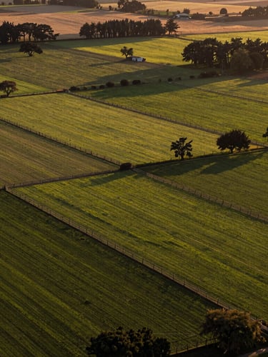 Vista aérea cenital de parcelas agrícolas en el sur de Chile, subdivisiones limpias con cercos de madera, praderas verdes y árboles nativos bajo luz dorada del atardecer, encuadre geométrico y ordenado.