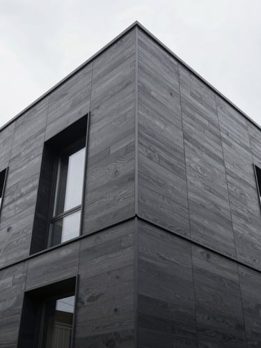 Low-angle architectural shot of a modern luxury home facade clad in dark wood-grain steel Lux panels, crisp overcast daylight, sharp focus, 35mm