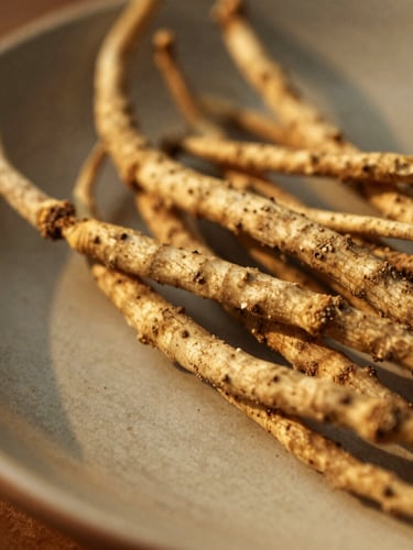 Macro close-up of warm golden-hour light catching raw ashwagandha roots on a ceramic plate, soft shadows, 35mm photography