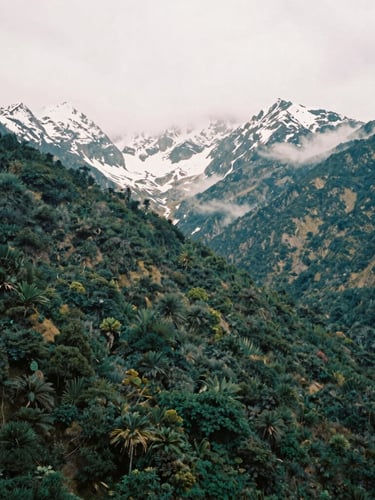Majestic snow-capped peaks of the Sierra Nevada de Santa Marta rising above dense green forests, thick mountain mist, documentary film photography, overcast daylight.