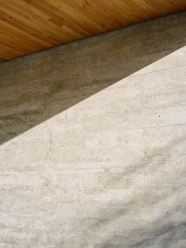 A vertical portrait of a modern concrete wall meeting a warm cedar ceiling, sharp sunlight casting graphic linear shadows across the textures, 35mm