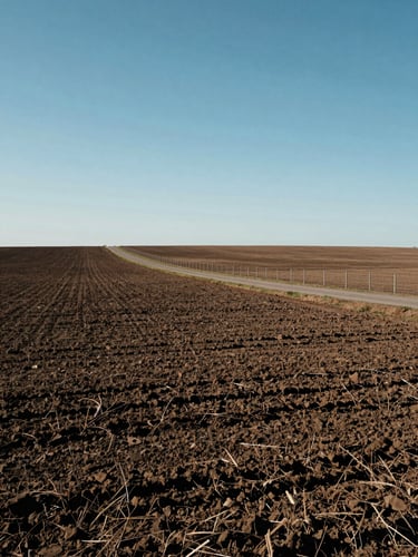 Wide establishing shot of an agricultural terrain at midday, clear northern light, flat horizon with a perimeter fence and access road cutting diagonally through the frame, soil texture and land slope visible, no people, no staging
