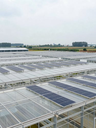 Wide-angle architectural shot of a large commercial greenhouse with integrated solar panels on the roof, under bright overcast daylight, structural steel visible, rural landscape in background, clean technical mood.
