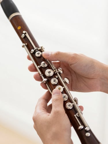 Close-up of hands holding an elegant wooden clarinet, fingers on the silver keys, bright daylight, soft gold reflections, shallow depth of field.