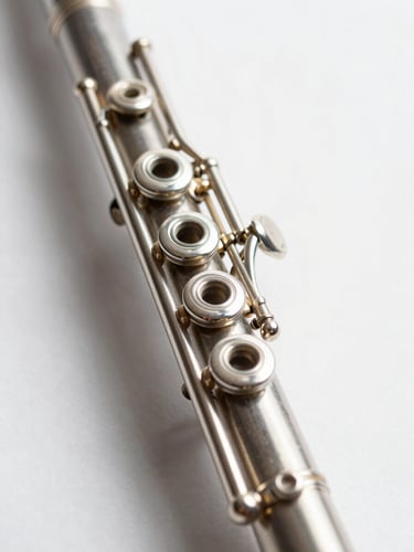 Macro shot of a silver clarinet keys under bright natural daylight, shallow depth of field, subtle gold reflections, clean light background