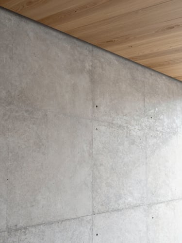 A close-up of a minimalist concrete wall meeting a clean oak ceiling, soft natural side lighting, elegant architectural detail