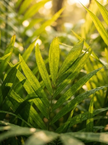Crisp macro photograph of vibrant green tropical palm leaves with warm morning sunlight filtering through, shallow depth of field, 35mm