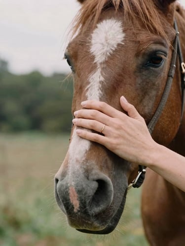 Close-up of a gentle hand resting on a horse's soft muzzle, natural overcast daylight, warm earthy forest tones, shallow depth of field, 35mm film look.