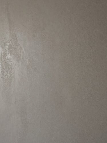Close-up of hand-applied microcement texture showing subtle tactile depth, soft natural side-light highlighting the mineral grain, muted warm grey tones