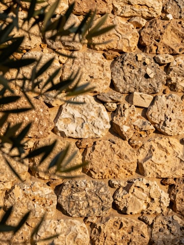 Tactile close-up of traditional Mallorcan stone walls, dry stone masonry technique, olive branches in the foreground, warm late-afternoon Mediterranean sun