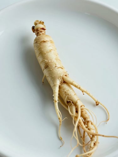 Macro shot of fresh green ginseng root on a clean white laboratory dish, bright clinical daylight, soft green shadows, sharp focus.