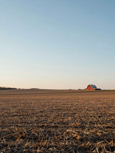 Wide environmental shot of expansive Minnesota agricultural fields under soft early morning light, a distant red barn on the horizon, clean composition with generous sky.