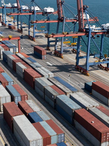 Wide environmental shot from an elevated angle looking down on a container terminal at a major port, rows of steel shipping containers in precise geometric arrangement under hard midday sun, crane arms bisecting the upper frame, deep blue water visible at the dock edge, no people visible
