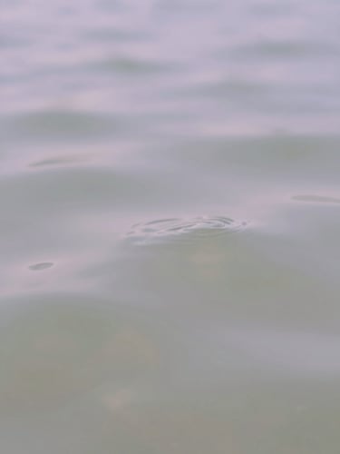 Macro close-up of gentle ripples in clear water under soft morning light, pale lavender and sage tones, extremely shallow depth of field, minimalist abstract photography