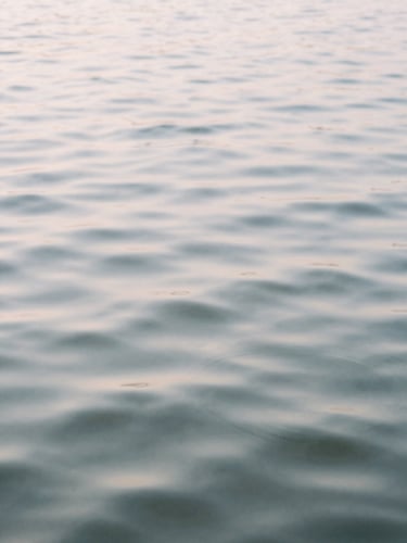 Gentle ripples in water, soft diffused morning light, pale pastel tones, shallow depth of field, 35mm