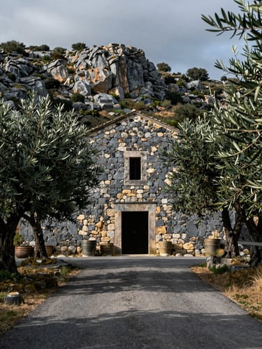 Ancient stone winery facade framed by wild olive trees on a Provence hillside, overcast afternoon light casting soft even shadows, cool slate tones, wide framing showing the building within its rocky landscape, shot from road level