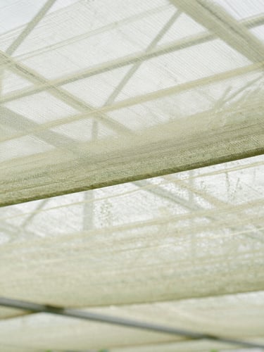 Macro shot of light filtering through a heavy-duty woven shade cloth, bright diffused greenhouse daylight, sharp technical detail, 35mm
