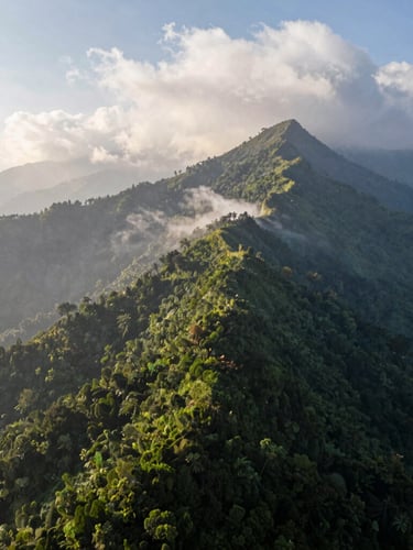 Wide environmental aerial view of the lush Phulchoki mountain ridge in Nepal, crisp morning sunlight cutting through alpine clouds, dramatic scale with deep green forest canopy, negative space on the left.