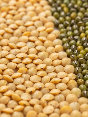Macro overhead shot of sorted golden lentils and polished green mung beans in clean, structured rows, bright natural daylight, rich saturated earth tones, sharp focus.
